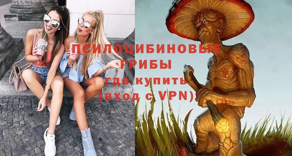 a pvp Белокуриха