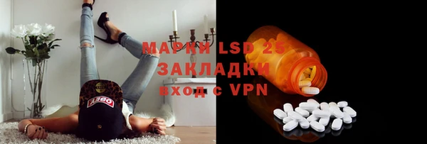 шишки Богородицк
