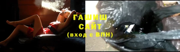шишки Богородицк