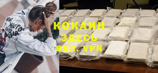шишки Богородицк
