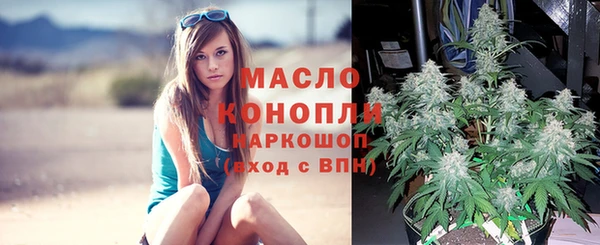 шишки Богородицк