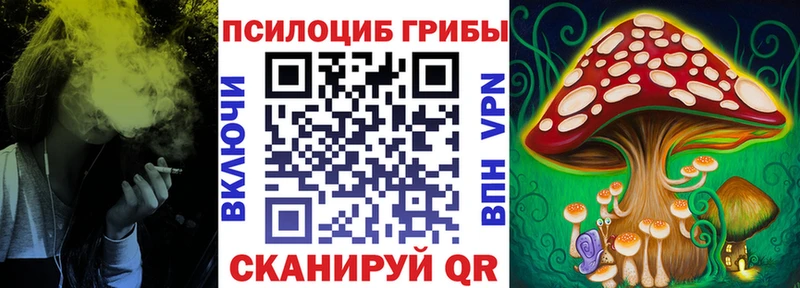 Псилоцибиновые грибы прущие грибы  Ишимбай 